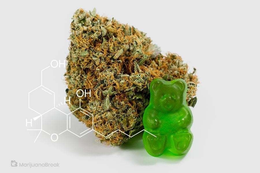 What to Expect When You Buy CBD Gummies