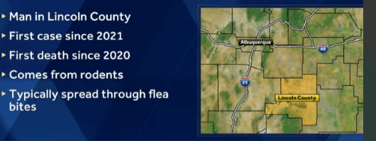 Urgent Measures to Prevent Plague Spread Following Recent Human Death in New Mexico