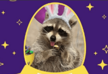 “Meet Louie: The First-Ever Cadbury Bunny Raccoon”