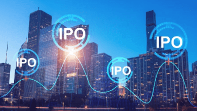 “RNFI Services IPO: Offering Details and Business Overview”