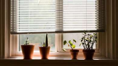 Different Types of Blinds for Windows