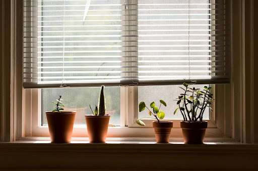 Different Types of Blinds for Windows